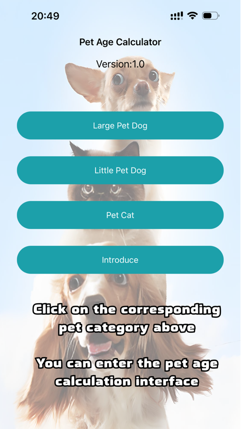 宠物年龄计算追剧软件最新版图片1