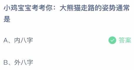 大熊猫走路的姿势通常是内八字还是外八字 蚂蚁庄园大熊猫走路姿势答案8.16[多图]图片2