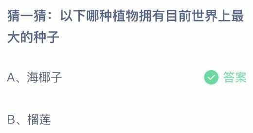 以下哪种植物拥有目前世界上最大的种子 蚂蚁庄园8月19日正确答案[多图]图片1